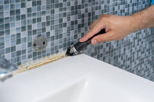 Best White Mold Remediation in Buffalo, OK